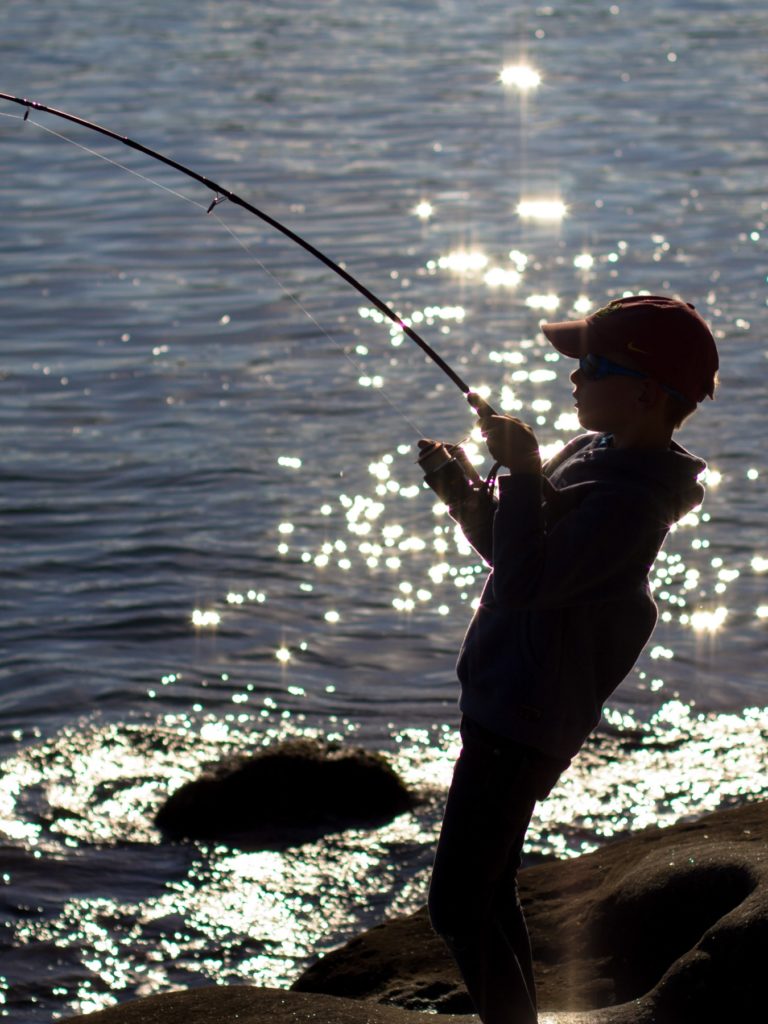 Live bait gets fishermen reeling 'em in